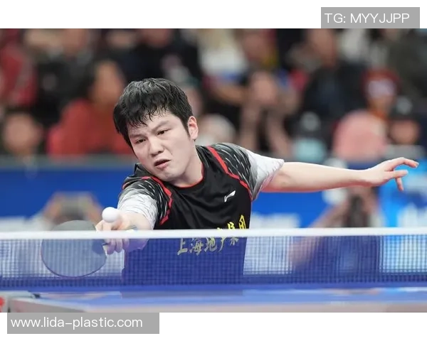 上海乒乓球队在冠军赛中的团队协作表现分析与展望